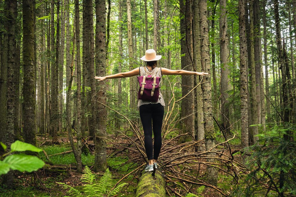Image of a woman standing in a forest on top of a fallen tree trunk stretching out her arms. Break free from the hold anxiety has on you with the help of neurofeedback therapy for anxiety in Englewood, CO.