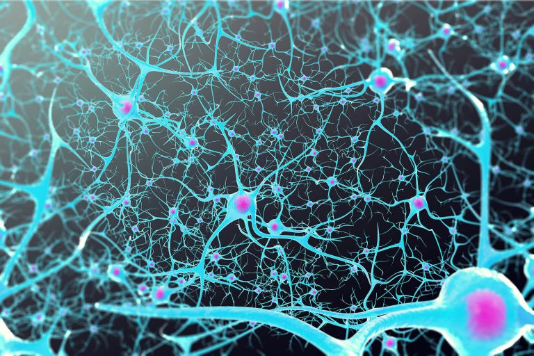 Close-up neuron network image symbolizing neuroplasticity and how the brain learns new patterns. This visual supports neurofeedback denver services, including neurofeedback therapy in greenwood village, co and neurofeedback therapy in littleton, co.