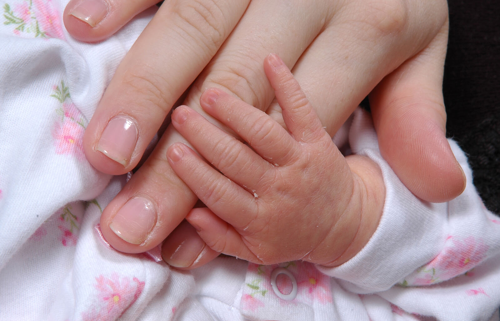 holding mothers hand | postpartum therapist | trauma therapy in englewood, co | postpartum depression counseling in englewood, co | englewood, co | greenwood village, co | denver, co A parent gently holds their newborn's tiny hand. Bonding after a traumatic birth can be challenging, but trauma therapy in Englewood, CO can help parents work through their experiences and build a meaningful connection with their child.