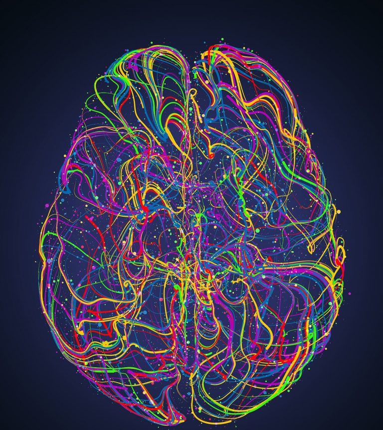 What Is And How Does It Work Mountain Vista Psychology Brain Vector Image Therapist In Englewood Co 768x863 